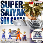Dragon Ball Z Blood of Saiyans - Son Gohan II