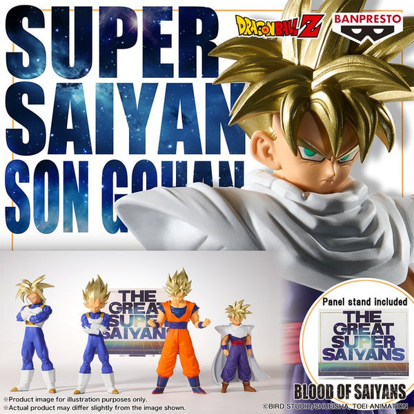Dragon Ball Z Blood of Saiyans - Son Gohan II