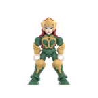 DC Defender Version 02 Justice League | Blokees