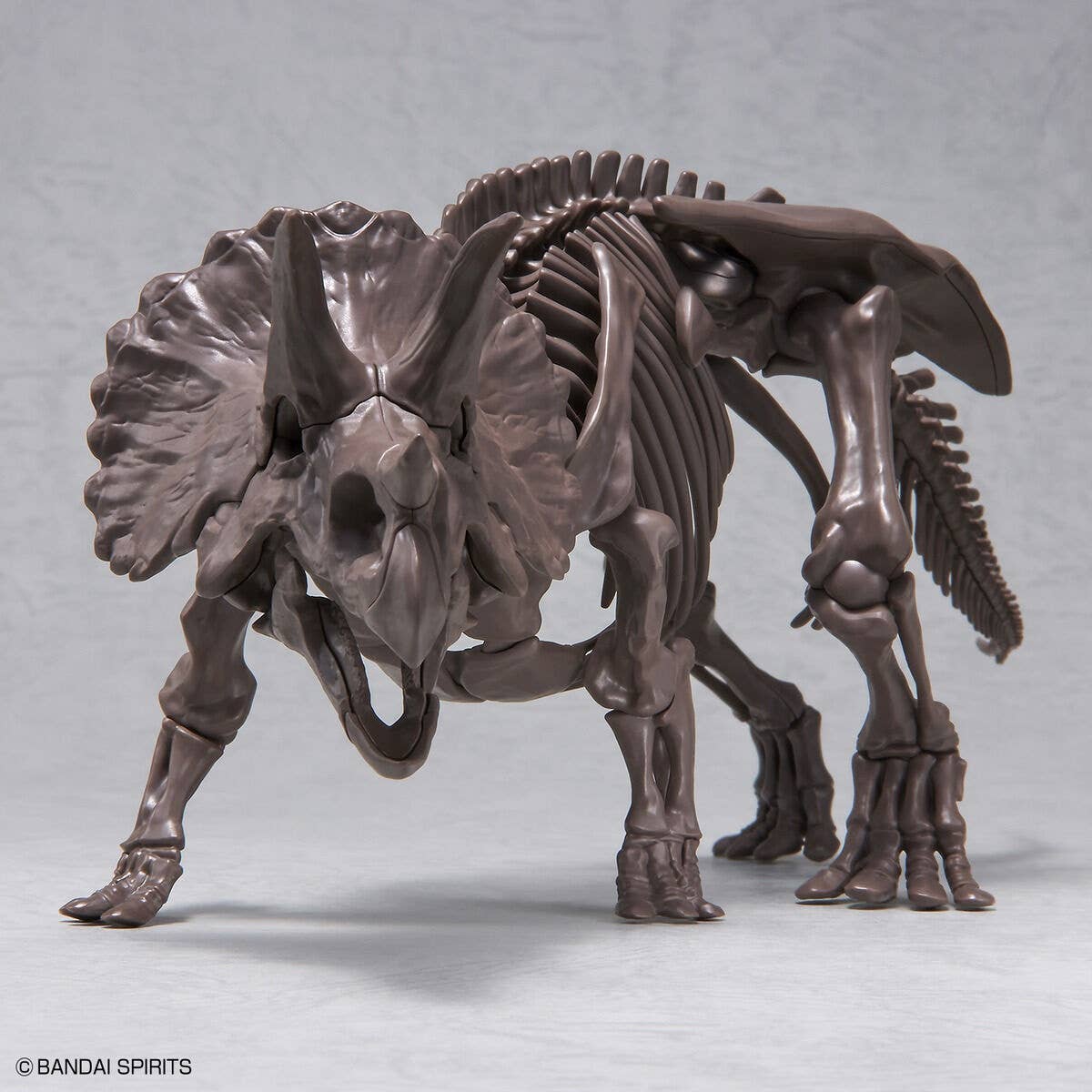 Bandai Imaginary Skeleton Triceratops 1/32 – Modelo para armar