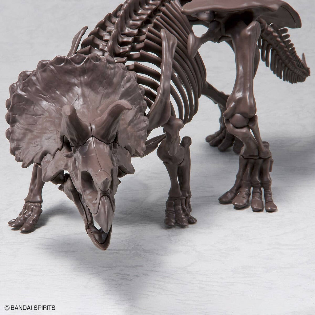 Bandai Imaginary Skeleton Triceratops 1/32 – Modelo para armar