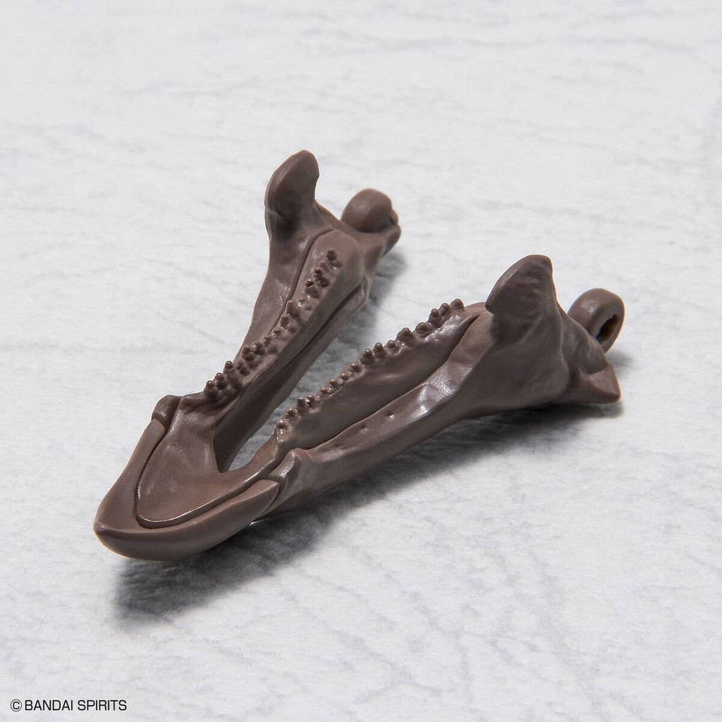 Bandai Imaginary Skeleton Triceratops 1/32 – Modelo para armar
