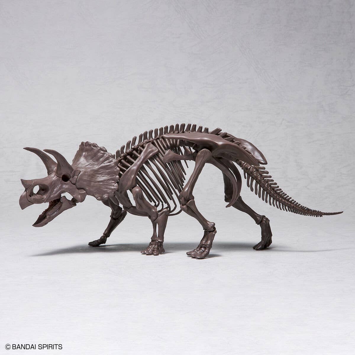 Bandai Imaginary Skeleton Triceratops 1/32 – Modelo para armar