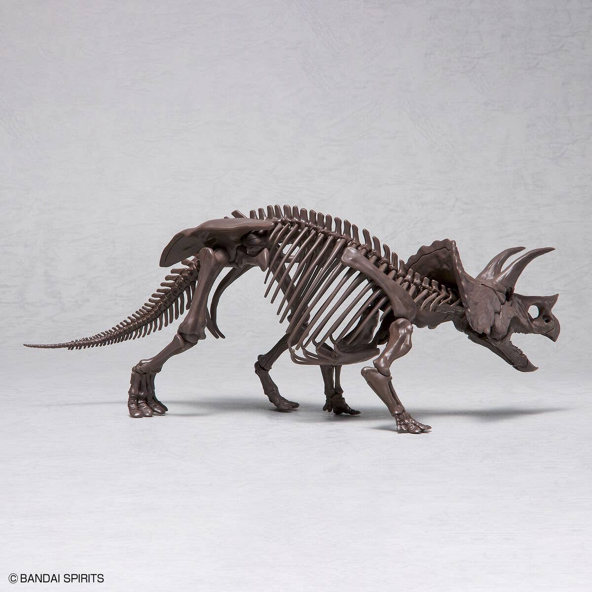 Bandai Imaginary Skeleton Triceratops 1/32 – Modelo para armar